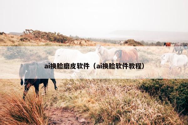 ai换脸磨皮软件（ai换脸软件教程）