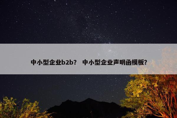 中小型企业b2b? 中小型企业声明函模板? 中小型企业b2b? 中小型企业声明函模板?