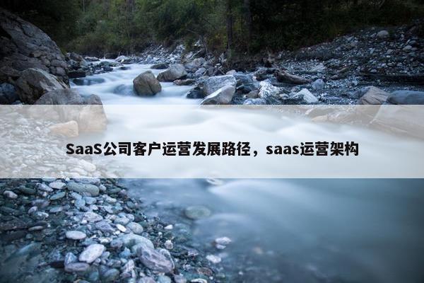 SaaS公司客户运营发展路径，saas运营架构