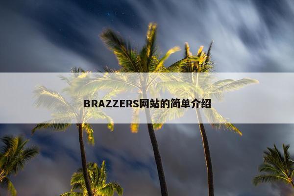 BRAZZERS网站的简单介绍