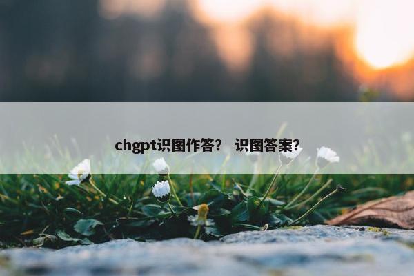 chgpt识图作答？ 识图答案？