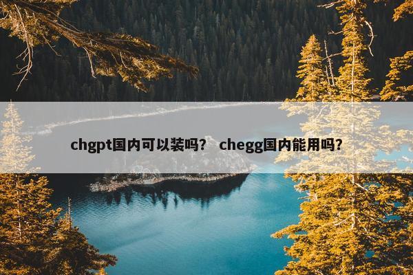 chgpt国内可以装吗？ chegg国内能用吗？