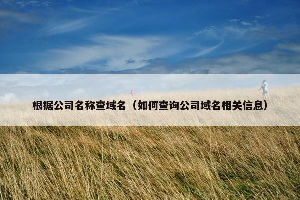 根据公司名称查域名（如何查询公司域名相关信息）