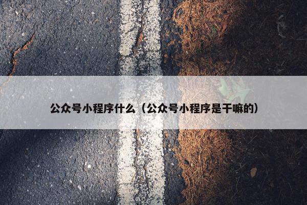 公众号小程序什么（公众号小程序是干嘛的）