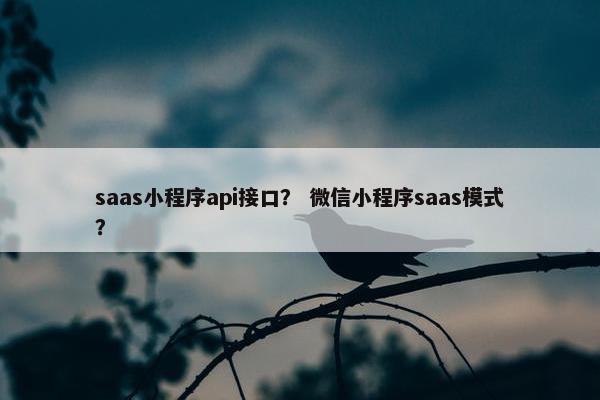 saas小程序api接口？ 微信小程序saas模式？