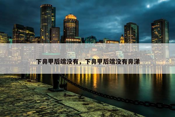 下鼻甲后端没有,下鼻甲后端没有鼻涕