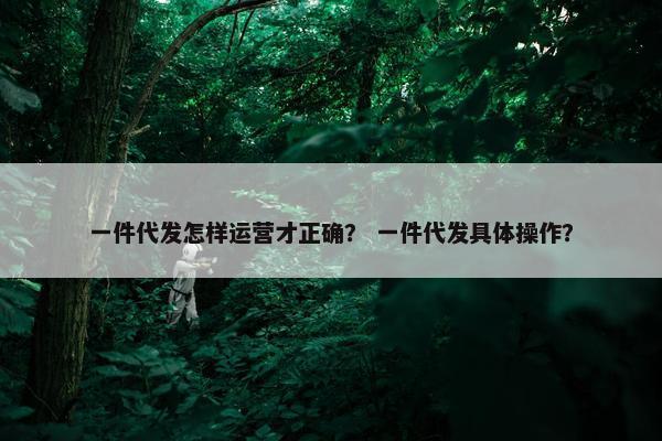 一件代发怎样运营才正确？ 一件代发具体操作？