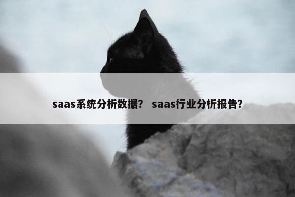 saas系统分析数据？ saas行业分析报告？