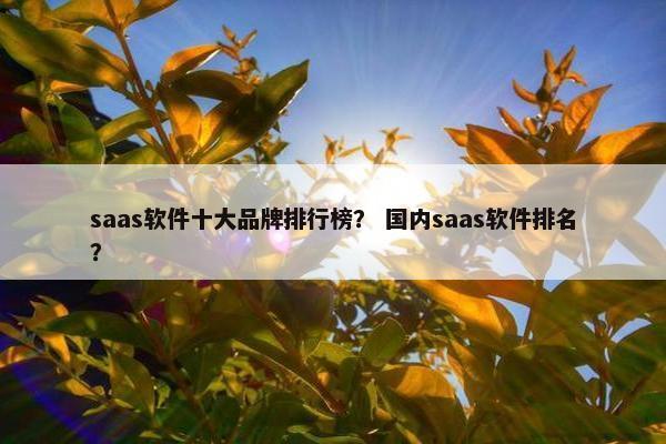 saas软件十大品牌排行榜？ 国内saas软件排名？