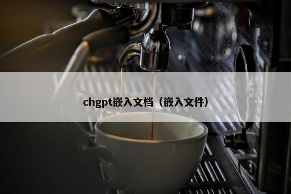 chgpt嵌入文档（嵌入文件）