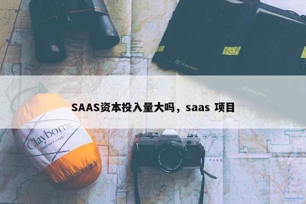 SAAS资本投入量大吗，saas 项目