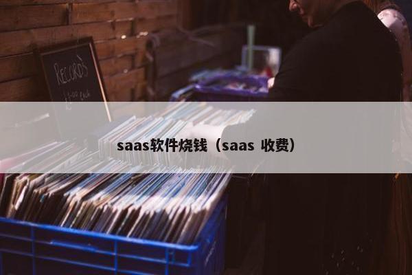 saas软件烧钱（saas 收费）