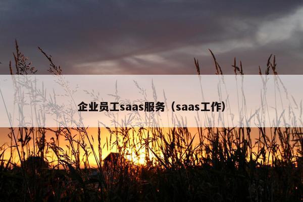 企业员工saas服务（saas工作）
