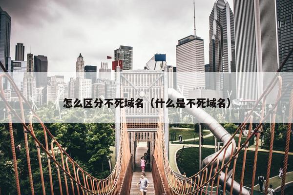 怎么区分不死域名（什么是不死域名）