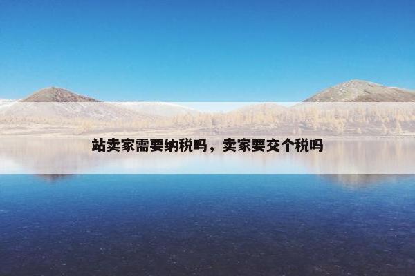 站卖家需要纳税吗，卖家要交个税吗