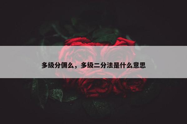 多级分佣么，多级二分法是什么意思