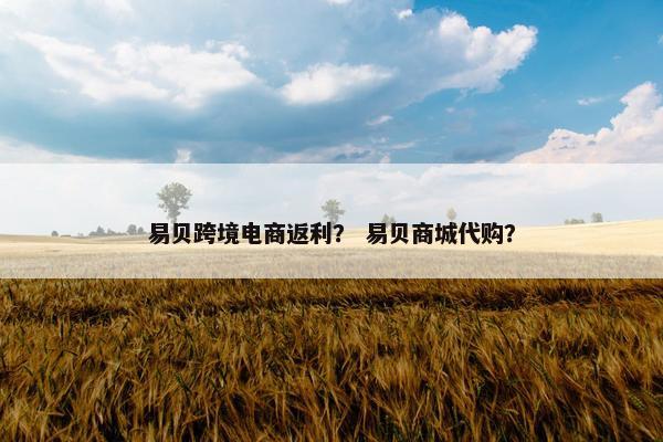 易贝跨境电商返利？ 易贝商城代购？