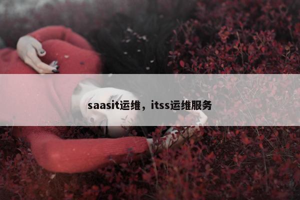 saasit运维,itss运维服务 saasit运维,itss运维服务