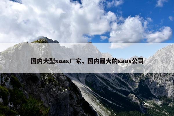 国内大型saas厂家，国内最大的saas公司