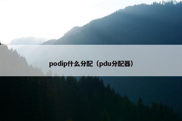 podip什么分配(pdu分配器) podip什么分配(pdu分配器)