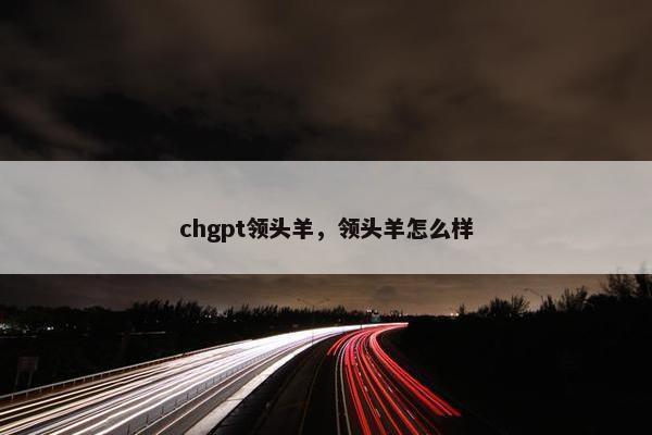 chgpt领头羊，领头羊怎么样