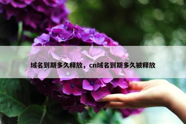 域名到期多久释放，cn域名到期多久被释放