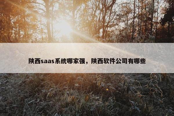 陕西saas系统哪家强，陕西软件公司有哪些