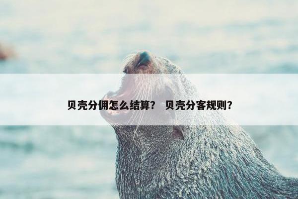 贝壳分佣怎么结算？ 贝壳分客规则？