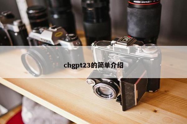 chgpt23的简单介绍