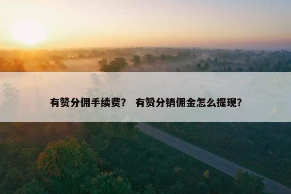 有赞分佣手续费？ 有赞分销佣金怎么提现？