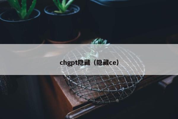 chgpt隐藏（隐藏ce）