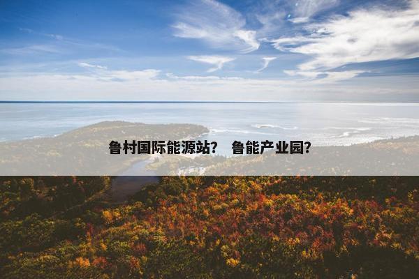 鲁村国际能源站？ 鲁能产业园？