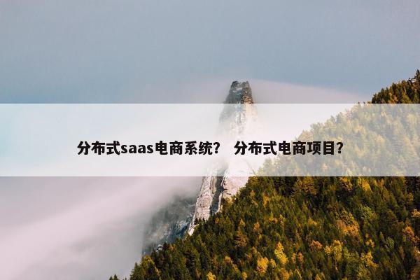 分布式saas电商系统？ 分布式电商项目？