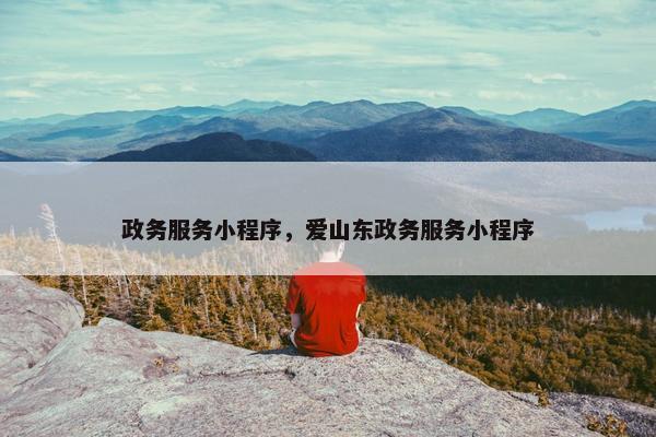 政务服务小程序,爱山东政务服务小程序 政务服务小程序,爱山东政务服务小程序