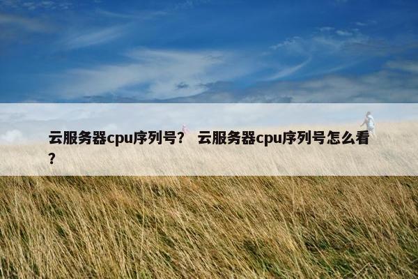 云服务器cpu序列号？ 云服务器cpu序列号怎么看？