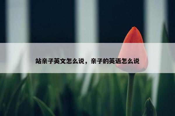 站亲子英文怎么说，亲子的英语怎么说