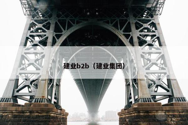 建业b2b（建业集团）