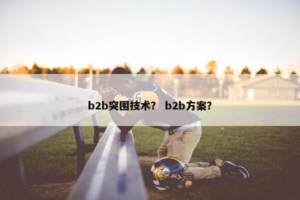 b2b突围技术？ b2b方案？