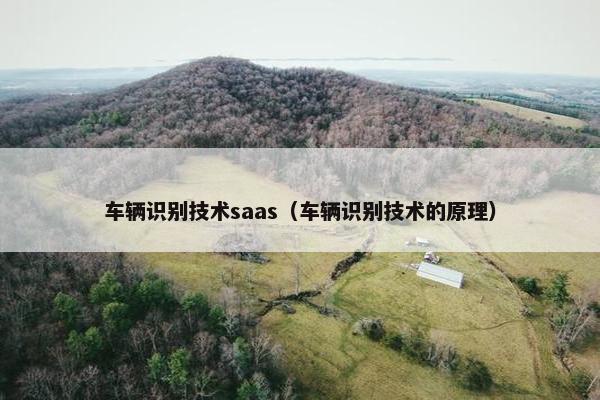 车辆识别技术saas（车辆识别技术的原理）