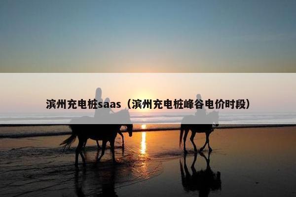 滨州充电桩saas（滨州充电桩峰谷电价时段）
