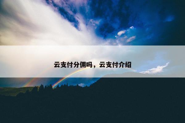 云支付分佣吗，云支付介绍