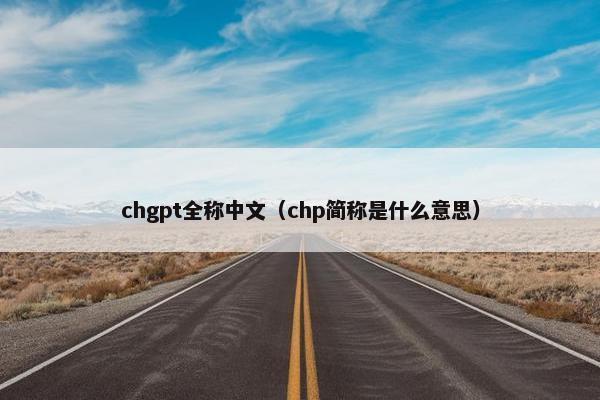 chgpt全称中文（chp简称是什么意思）