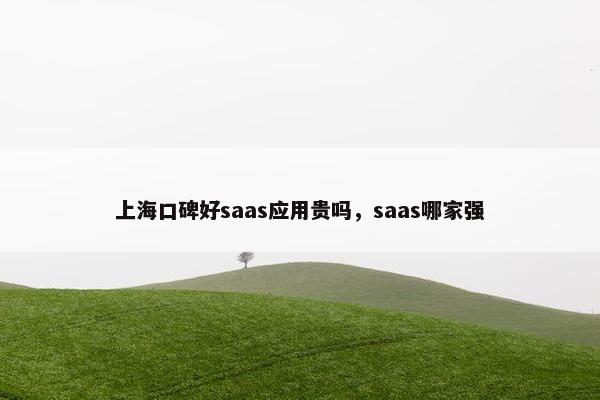 上海口碑好saas应用贵吗，saas哪家强