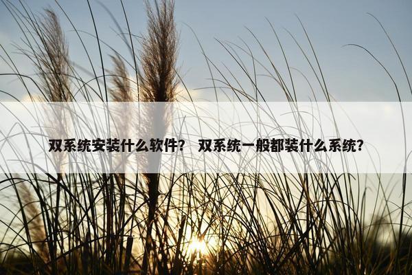 双系统安装什么软件? 双系统一般都装什么系统?