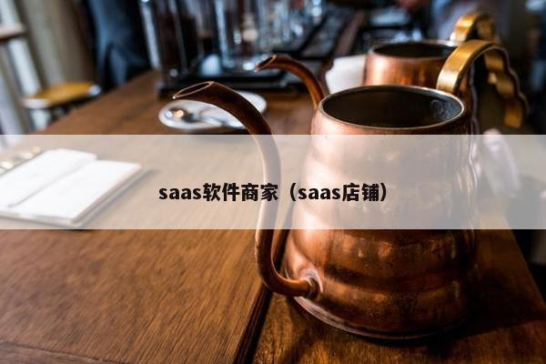 saas软件商家（saas店铺）