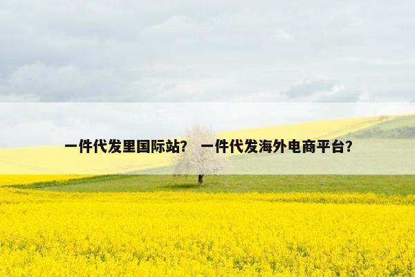 一件代发里国际站？ 一件代发海外电商平台？