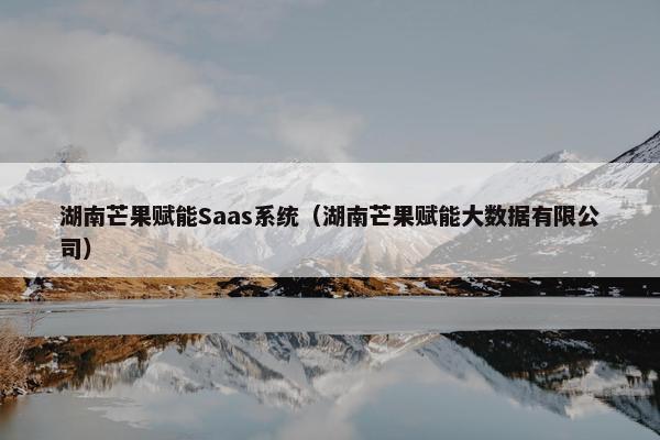 湖南芒果赋能Saas系统（湖南芒果赋能大数据有限公司）