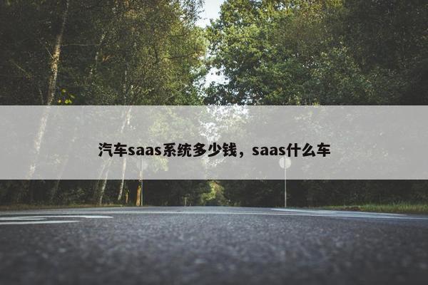 汽车saas系统多少钱，saas什么车
