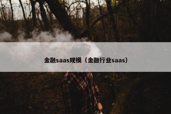 金融saas规模（金融行业saas）