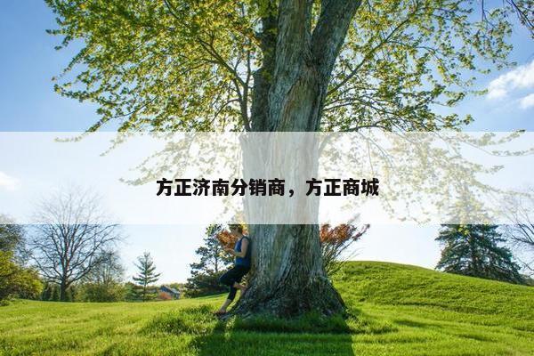 方正济南分销商，方正商城